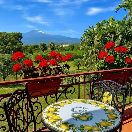 Iris Guest house