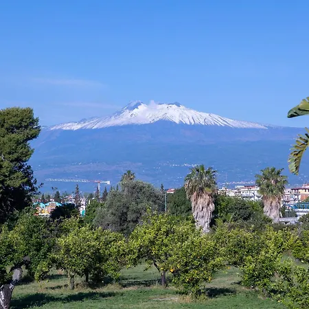 بيت ضيافة Iris جيارديني ناكسوس